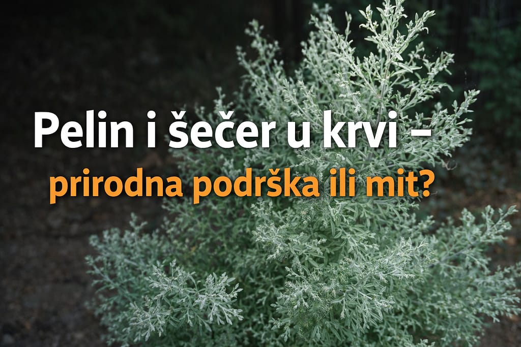 pelin-prirodna-podrska-secer-u-krvi-pametnadomacica