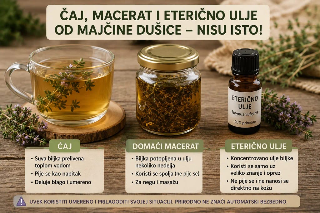 Razlika između čaja, biljnog macerata i etarskog ulja od majčine dušice