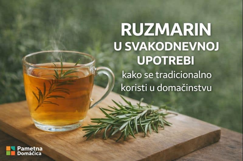 ruzmarin-u-svakodnevnoj-upotrebi-pametna-domacica